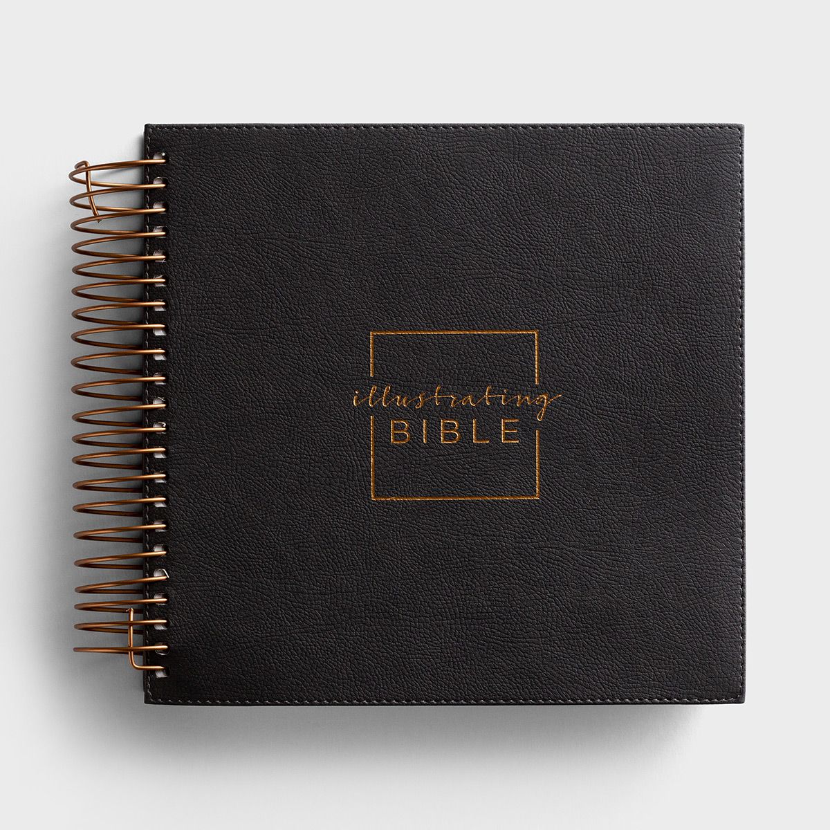 Illustrating Bible - NIV - Grey | DaySpring