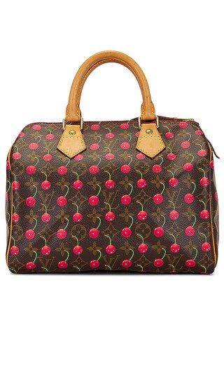 Louis Vuitton Monogram Cherry Speedy 25 Bag in Brown | Revolve Clothing (Global)