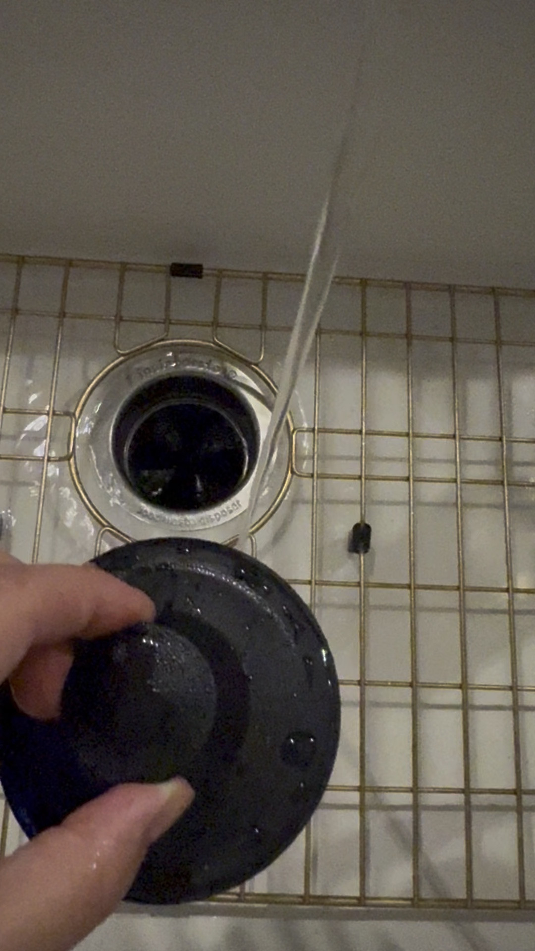 Say goodbye to sink splashes and messy drains! 💧 The Essential Values Sink Stopper is here to make kitchen cleanups effortless. Compatible with top brands like Kohler and Insinkerator. Grab yours today through my LTK! 🖤 #SinkUpgrade #LTKFinds #sink #kitchen #SinkStopper
#GarbageDisposal
#DrainStopper
#KitchenFix
#EasyUpgrades
#EssentialValues
#SinkEssentials 


#LTKHome #LTKWatchNow #LTKFamily