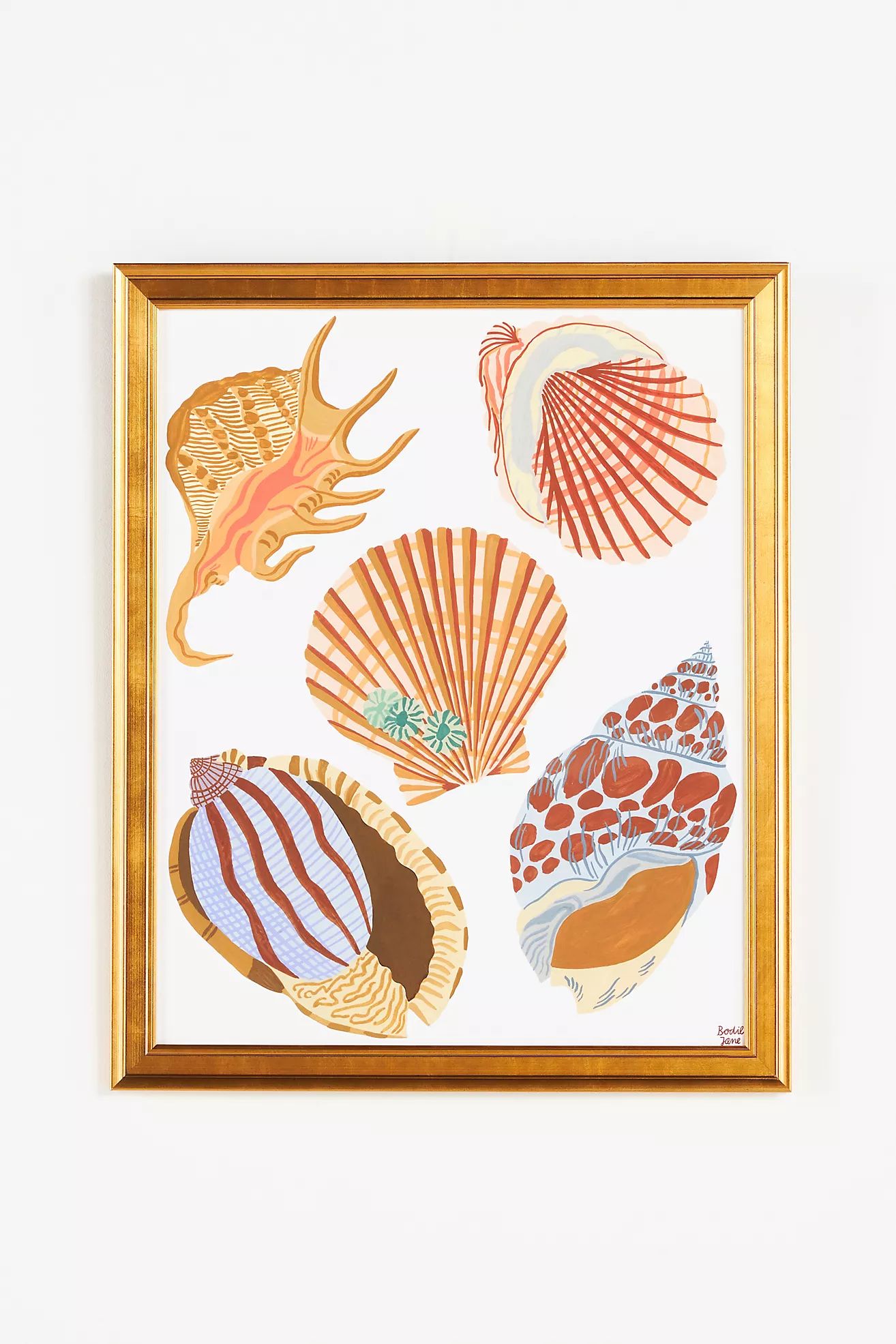 Shells Wall Art | Anthropologie (US)