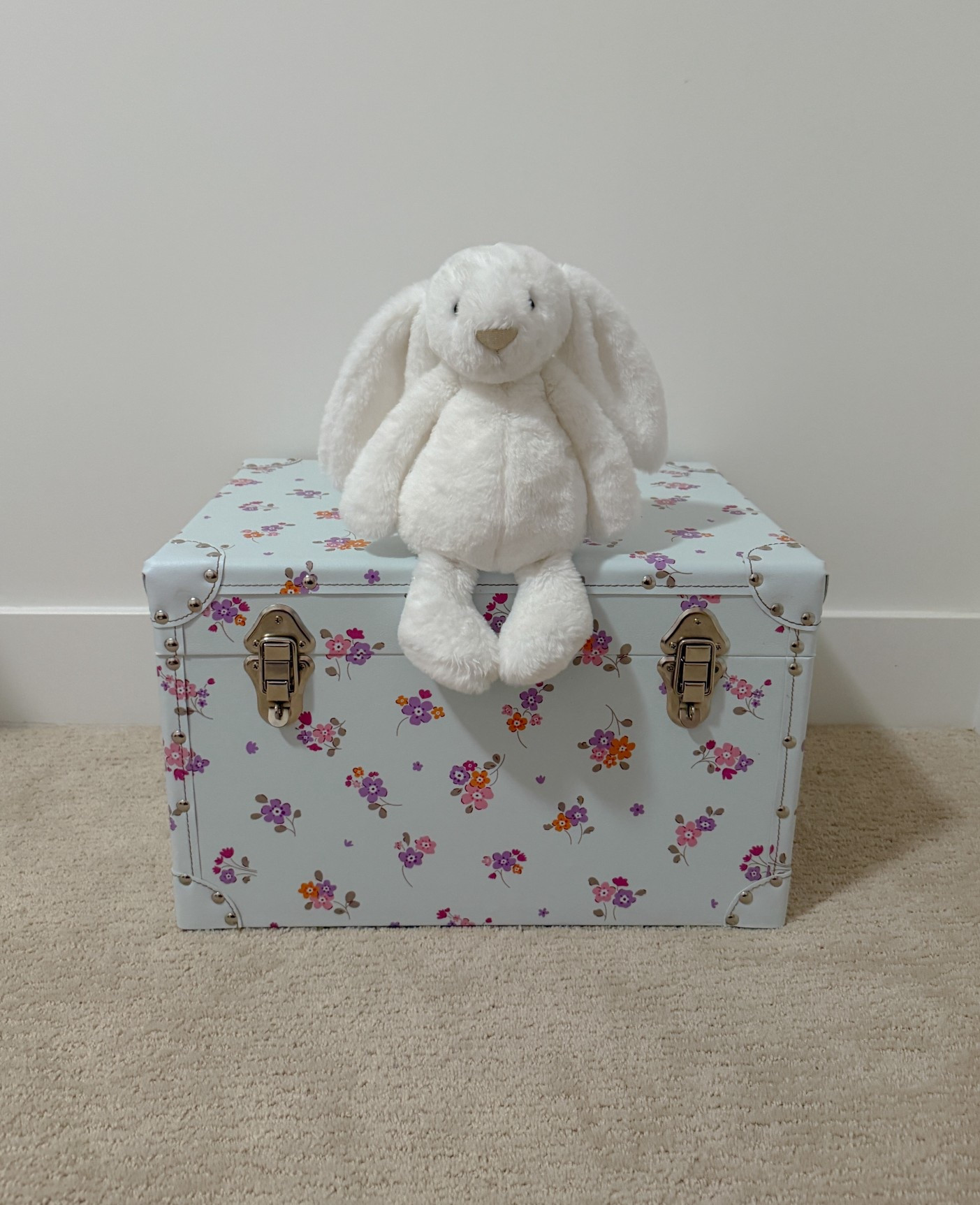 Petite Keep look a like trunks at Homegoods & Homesense for under $50! 

Homegoods finds, Homegoods, tjmaxx, Marshalls, girl room, toddler girl room, nursery decor, girl nursery decor, nursery storage, gifts for toddlers, gifts for girls, petite keep, look for less, baby keepsake, gifts for babies 



#LTKBaby #LTKHome #LTKKids