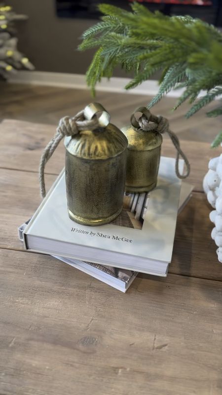 Coffee table styling decor, real touch garland stems perfect for Christmas 

#LTKGiftGuide #LTKHolidaySale #LTKSeasonal