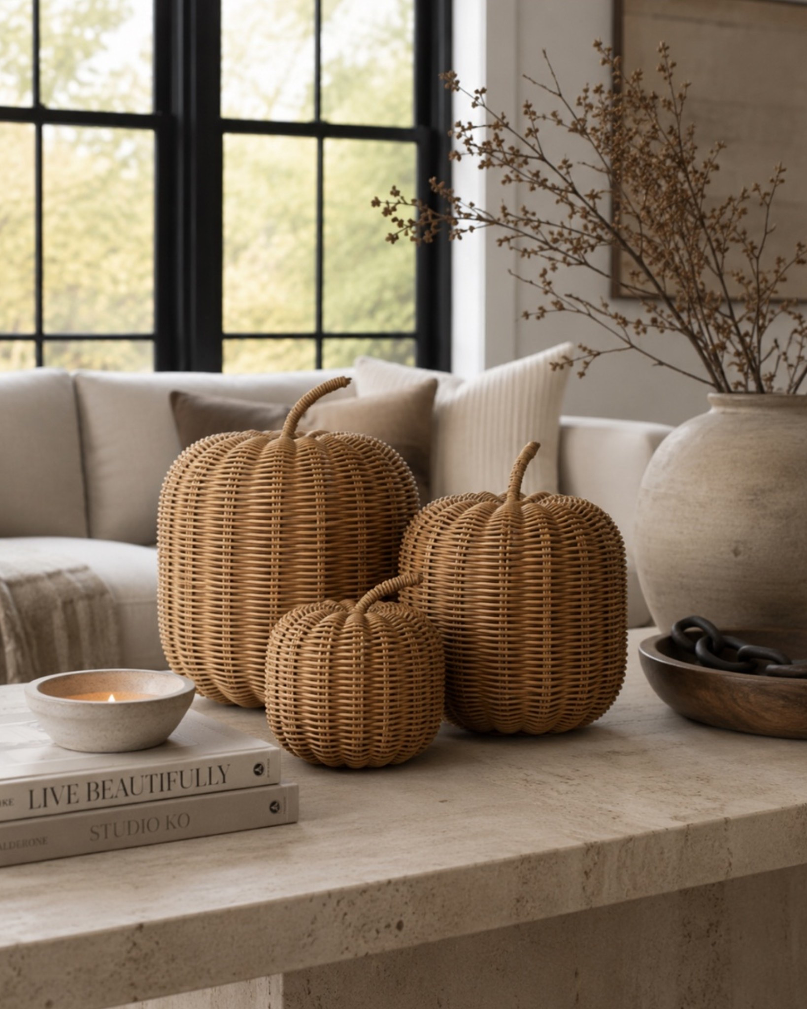 These wicker pumpkins!! 🤎

#LTKSeasonal #LTKHome