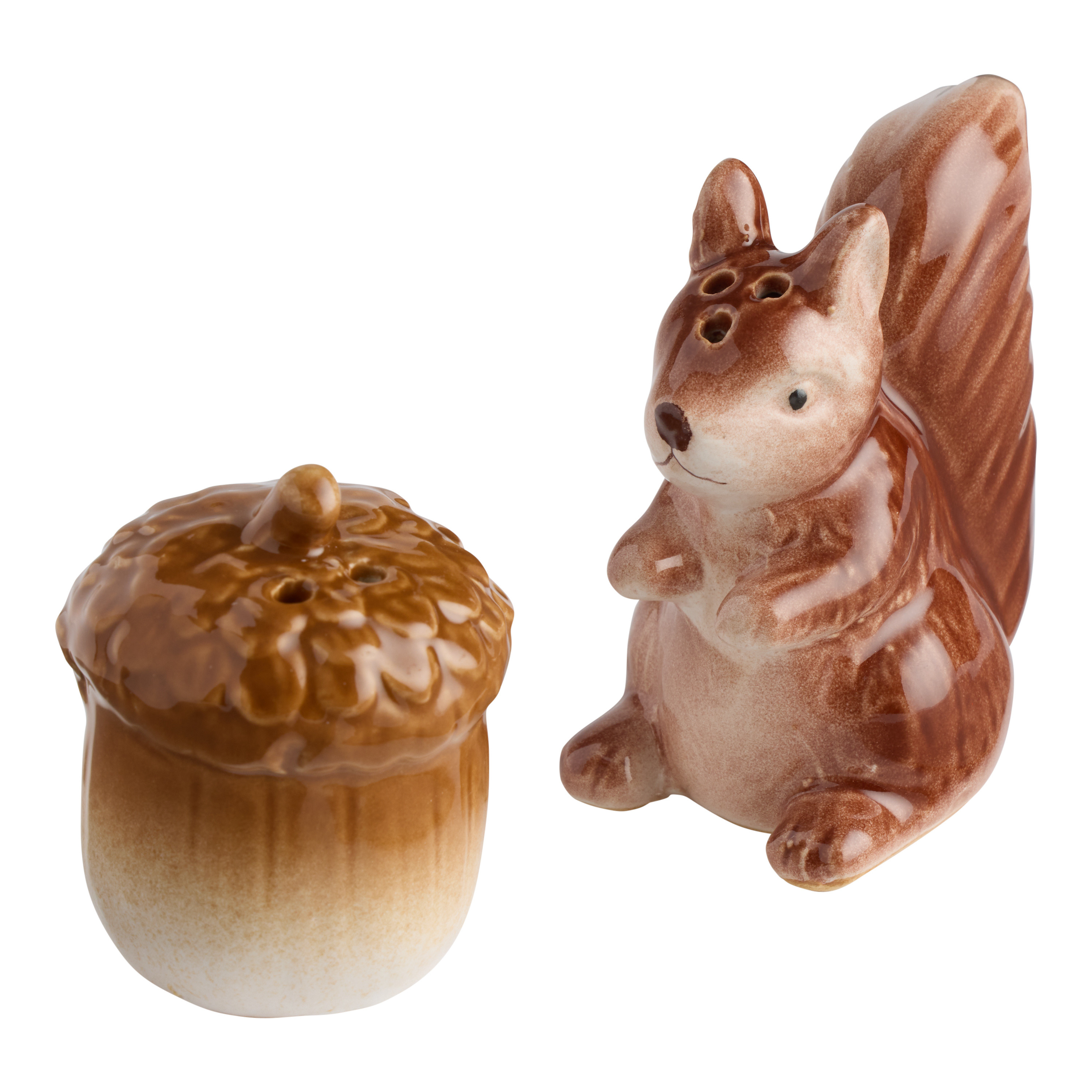 Ceramic Squirrel and Acorn Figural Salt and Pepper Shaker Set | World Market