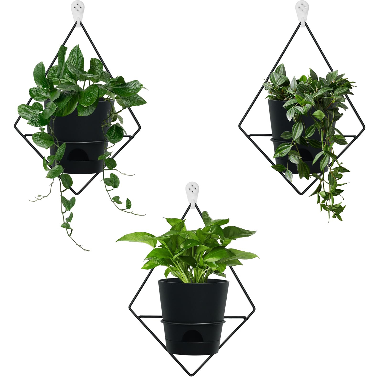 3 Sets Wall Planters for Indoor Plants Geometric Hanging Planters for Indoor Plants - Self-Wateri... | Amazon (US)
