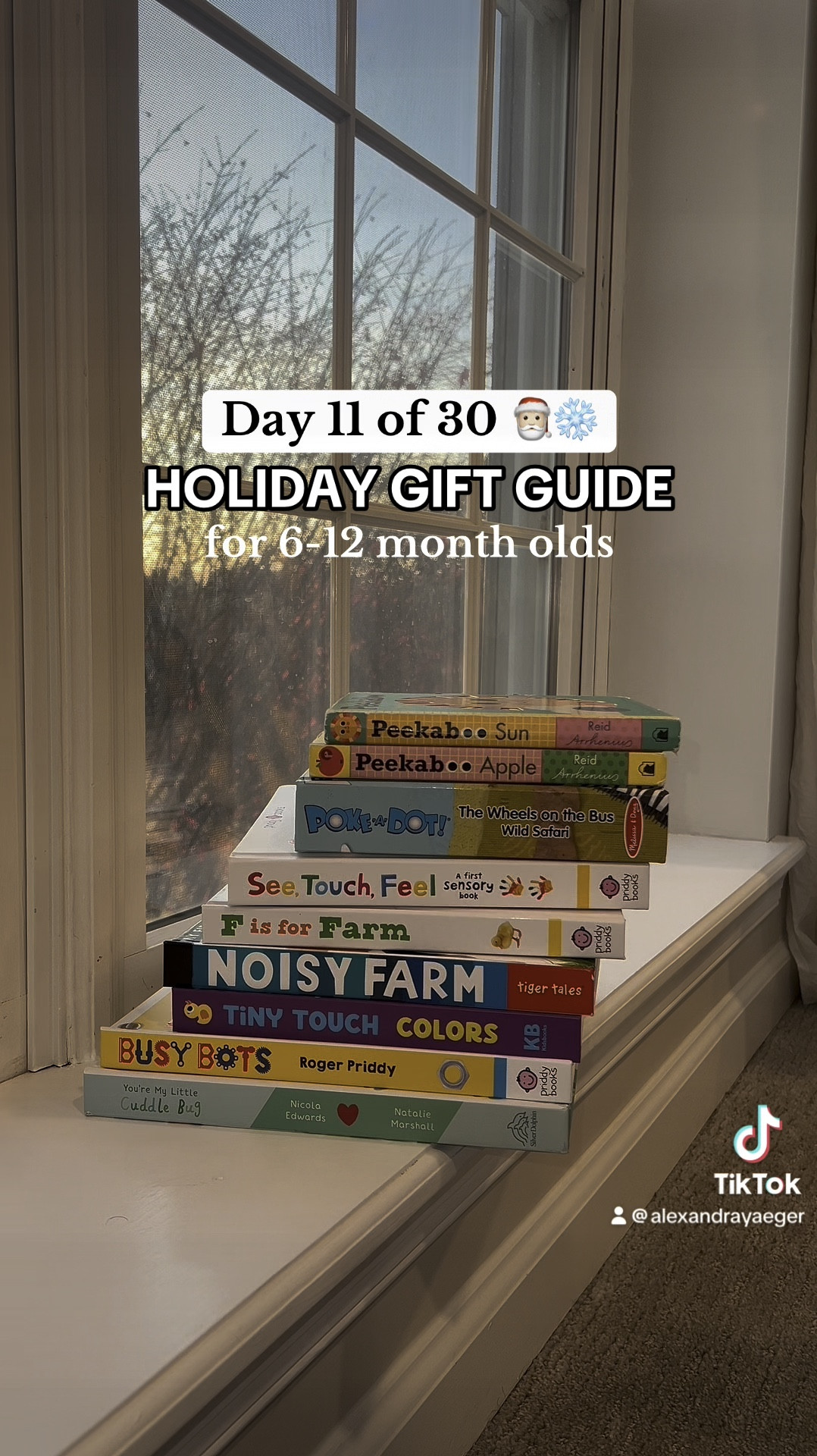 Day 11 of 30! The best book finds & current favorites (chosen by Ayden) 😅📚🤍🎄

#LTKGiftGuide #LTKKids #LTKBaby