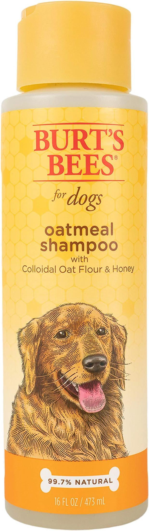 Burt's Bees Natural Shampoo for Dogs, Made with Colloidal Oat Flour and Honey | Amazon (US)