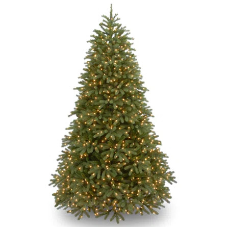 Mercury Row® Jersey Fraser Green Realistic Artificial Fir Christmas Tree with Lights | Wayfair | Wayfair Professional