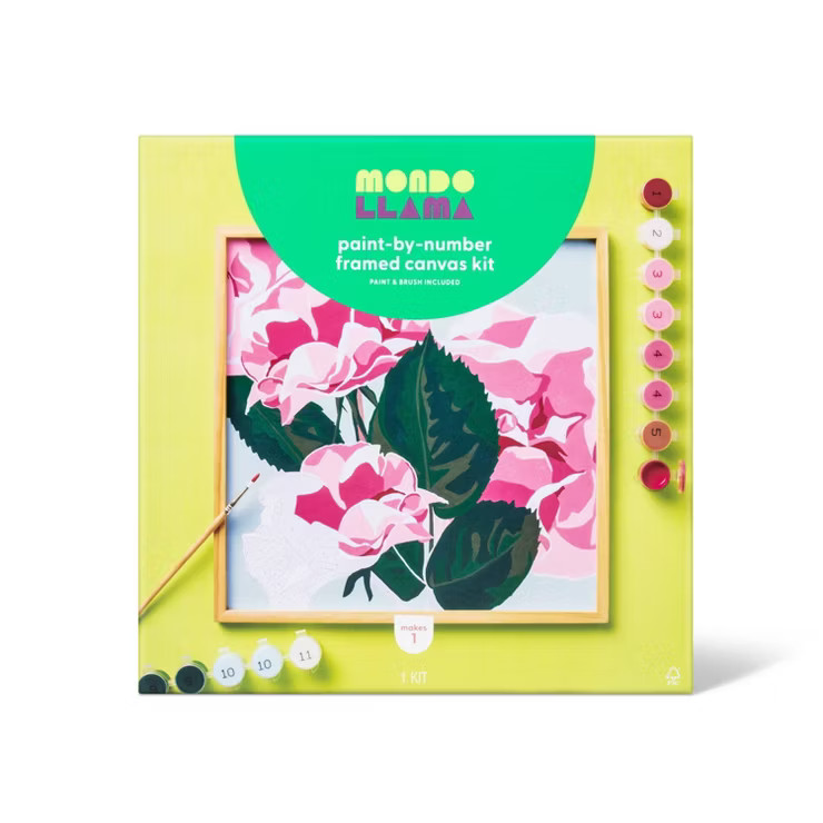 Paint-By-Number Floral Framed Canvas Kit - Mondo Llama™ | Target