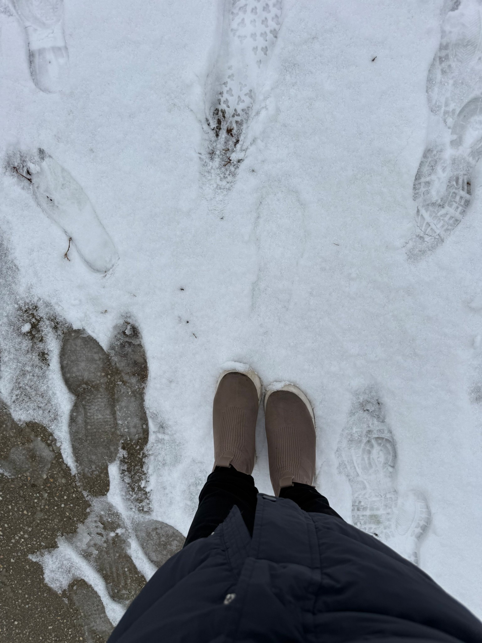 Love my @vessi Chelsea high tops for rain and snow!  Keeps my feet dry so no more wet socks.  Slip on and easy to match with almost any outfit.  

#LTKmomlife #LTKootd #LTKdayinmylife