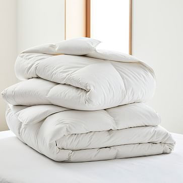 European Down Duvet Insert | West Elm (US)