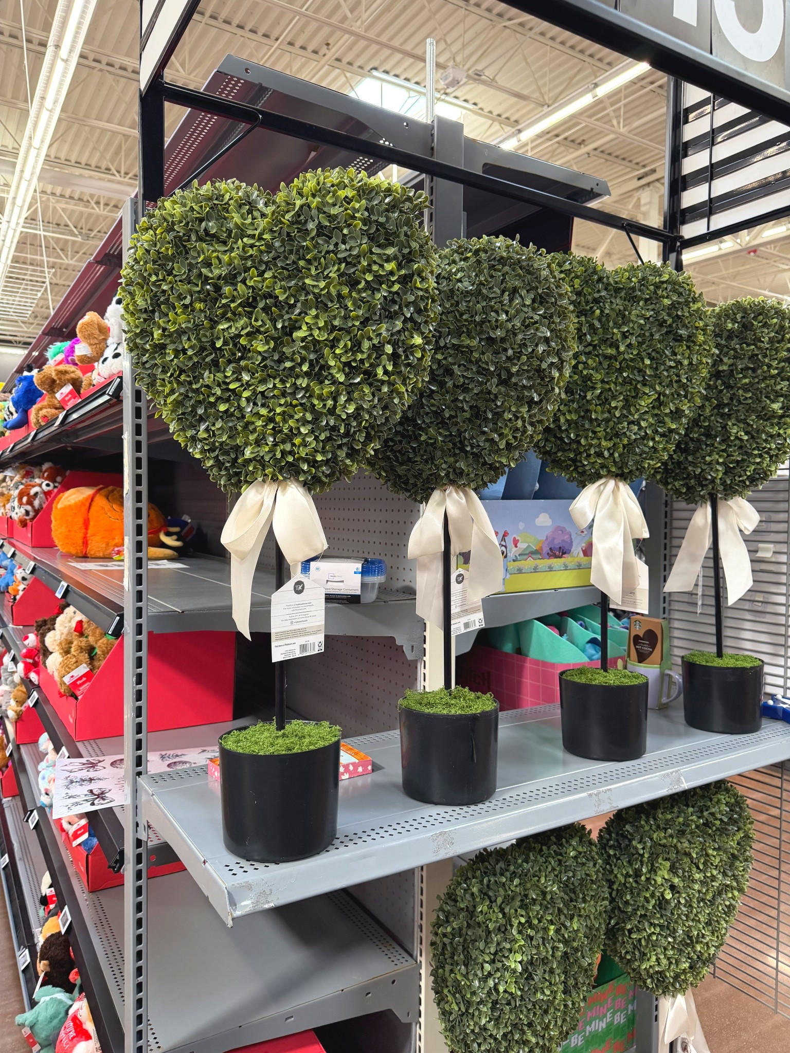 Heart topiaries for Valentine’s Day ❤️