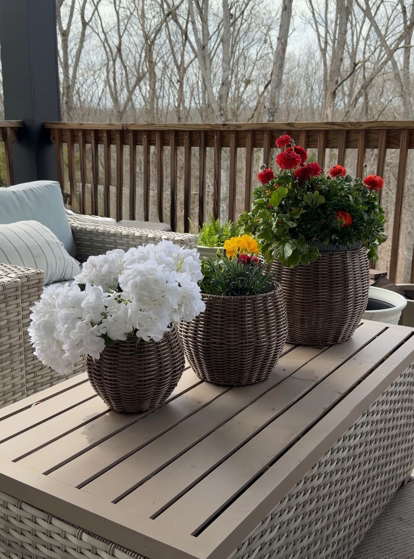 This set of 3 faux rattan planters is perfect for Spring planting on the porch or in the house. 

#LTKSaleAlert #LTKSeasonal #LTKHome