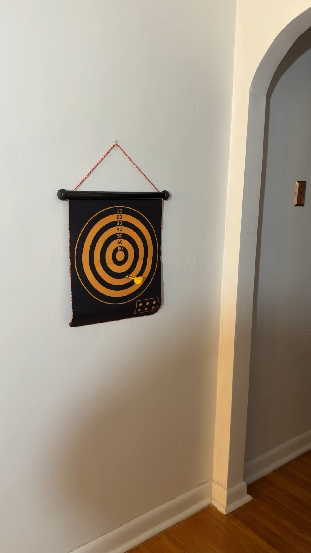 Playing with the Magnetic Dart Board was so much fun!


#LTKdayinmylife #LTKvlog