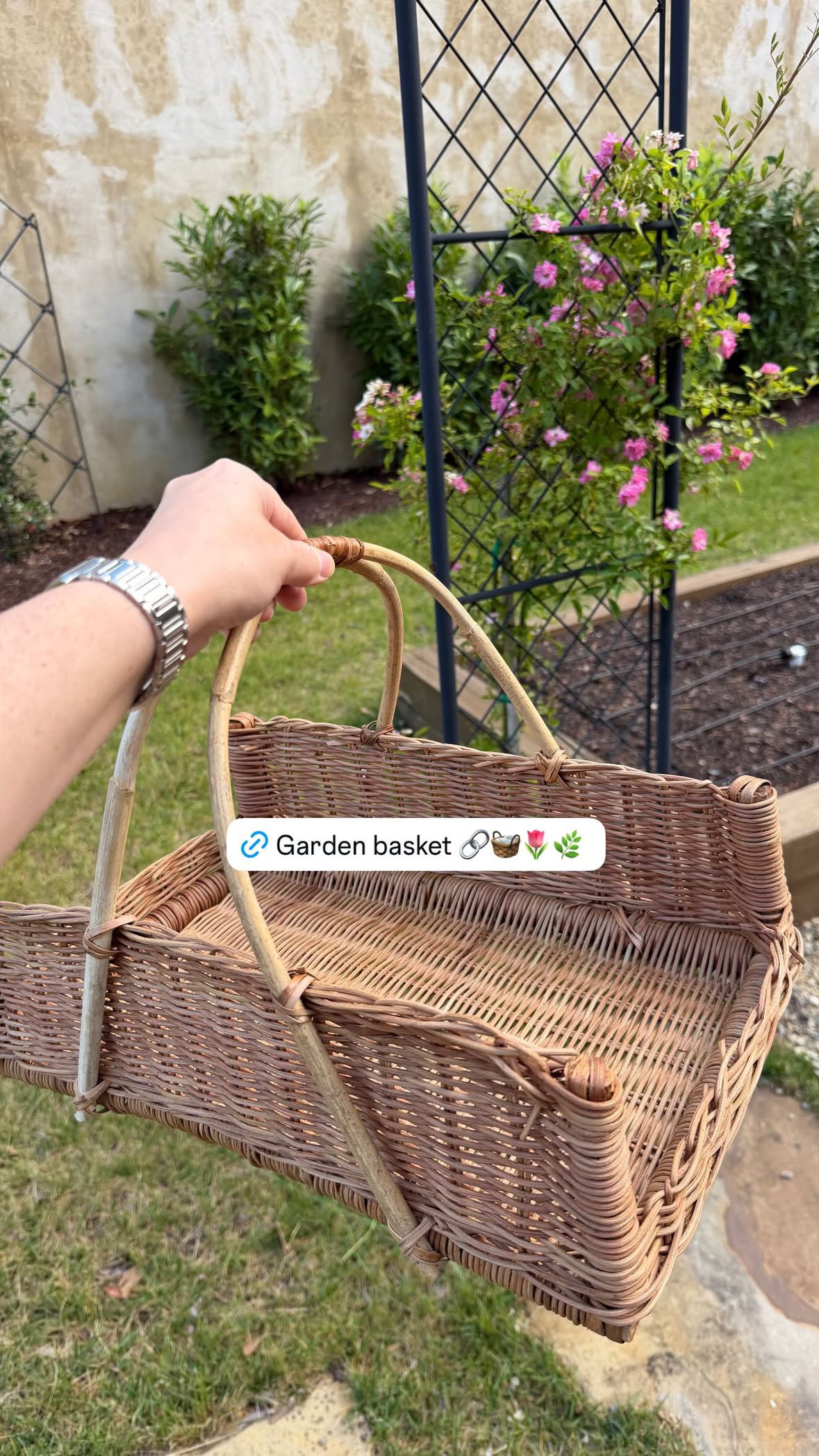 How gorgeous is this garden basket from Amazon? 

amazon l garden l outdoor l basket 

 