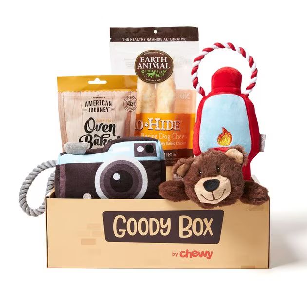 GOODY BOX Adventure Toys & Treats For Dogs, one size - Chewy.com | Chewy.com