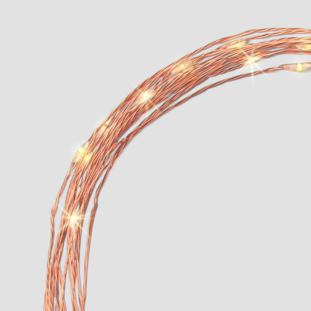 Philips Battery Operated Dewdrop LED String Lights Warm White Twinkle with Copper Wire | Target