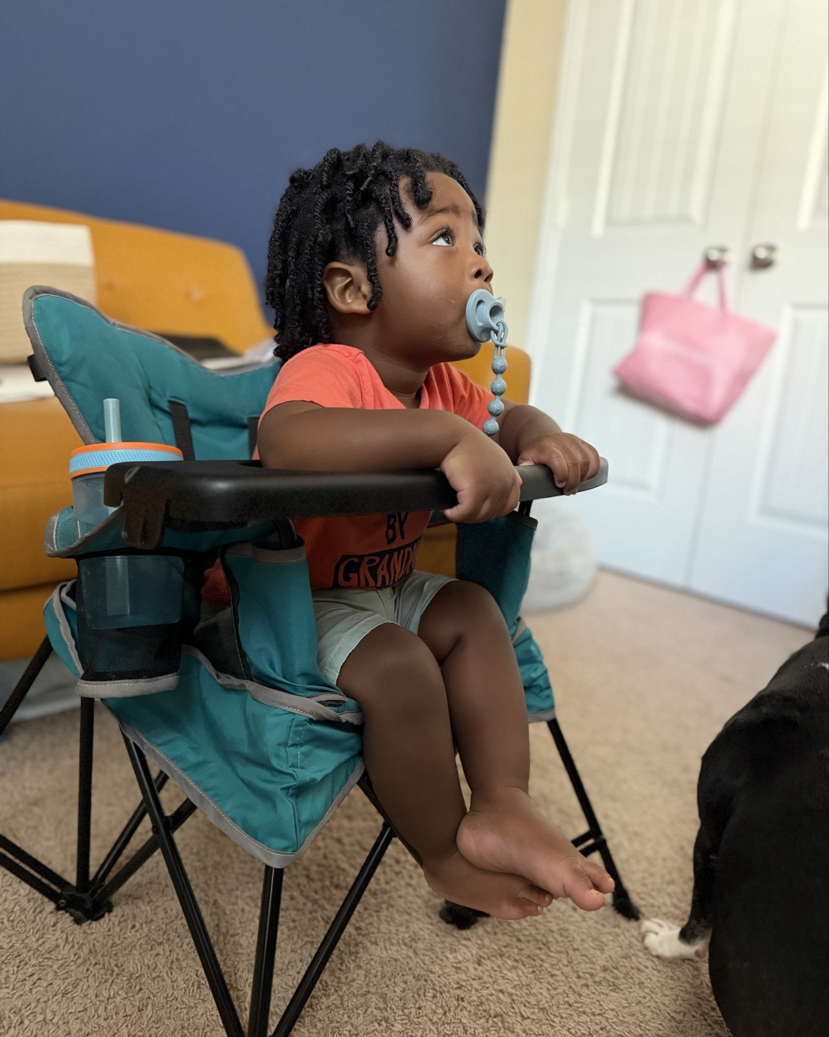 Perfect indoor / outdoor toddler folding chair. It’s great for snack time and caring up on stories lol 😂  

#LTKSaleAlert #LTKmomlife #LTKKids