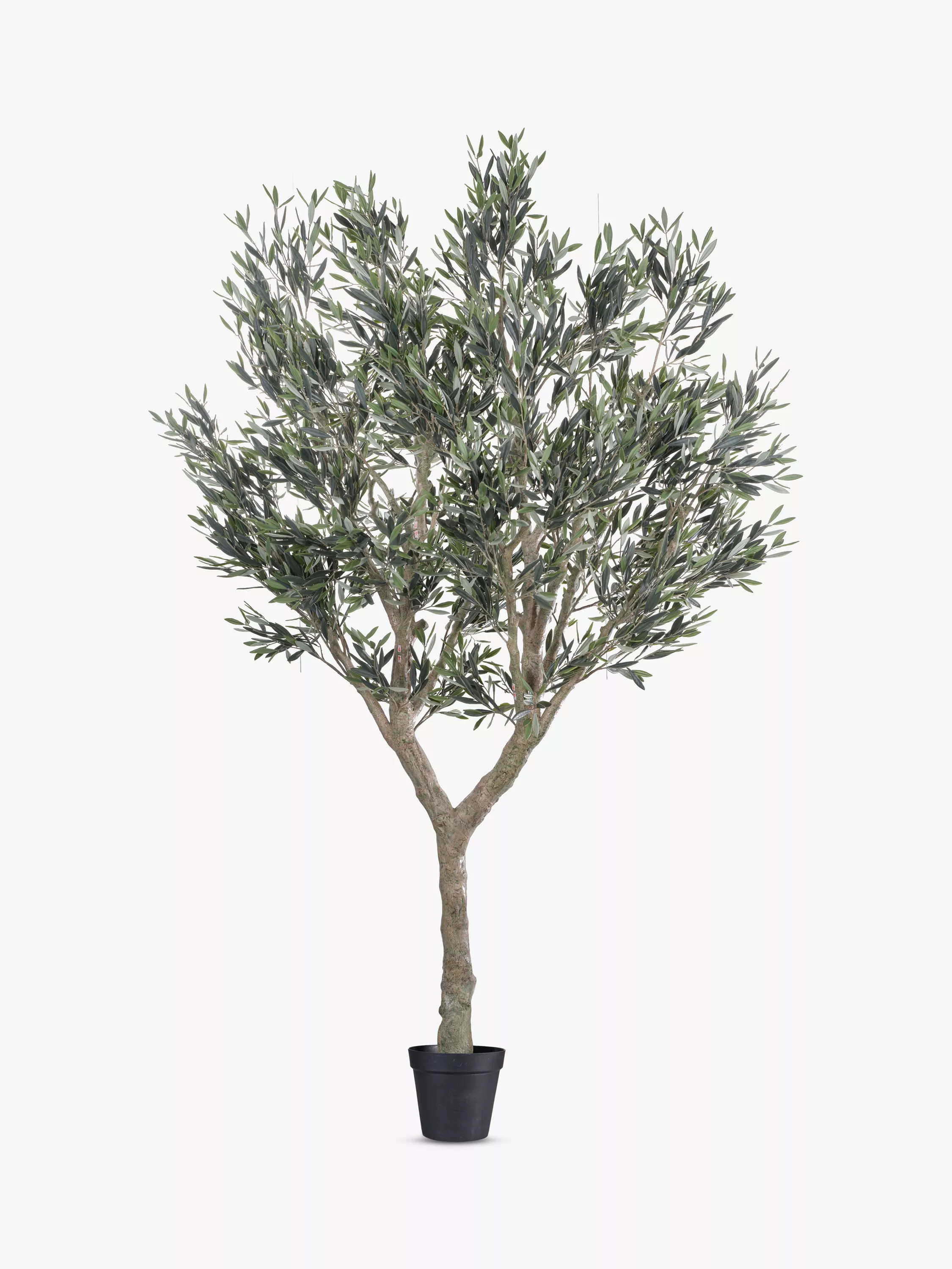 Vistafolia Artificial Cielo Verdi Olive Tree in Pot, 270cm, Green | John Lewis (UK)