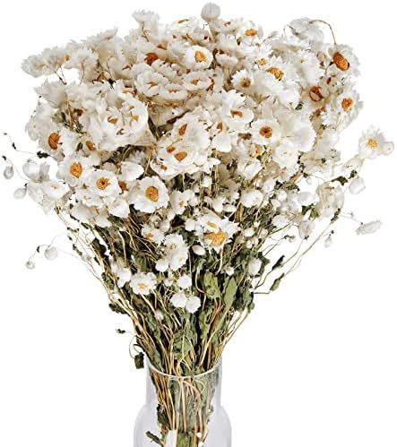 Coloch White Dried Daisy Flower Bouquet Set, 300+ Real Daisies Flower Head 16" Natural Gerber Dai... | Amazon (US)