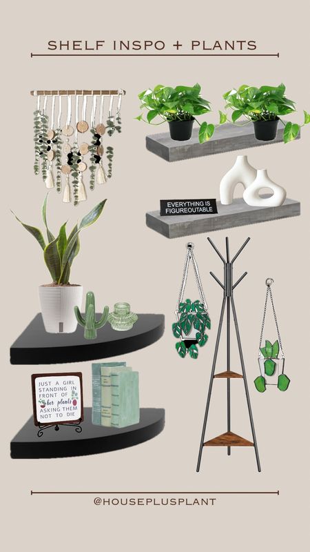 Shelf styling + plant! 🪴 I am loving the stained glass monstera 😍 and you know a coat rack that doubles as plant storage is right up my alley #walmarthome #amazonhome #plantdecor #plantinspireddecor 

#LTKhome #LTKSpringSale #LTKsalealert