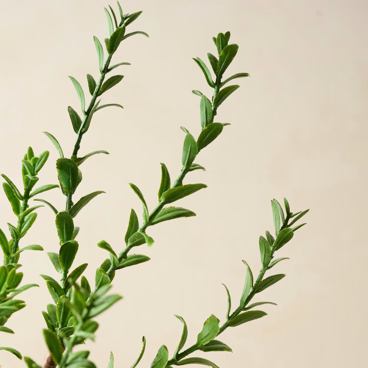 Real Touch Green Leaf Stem | Magnolia