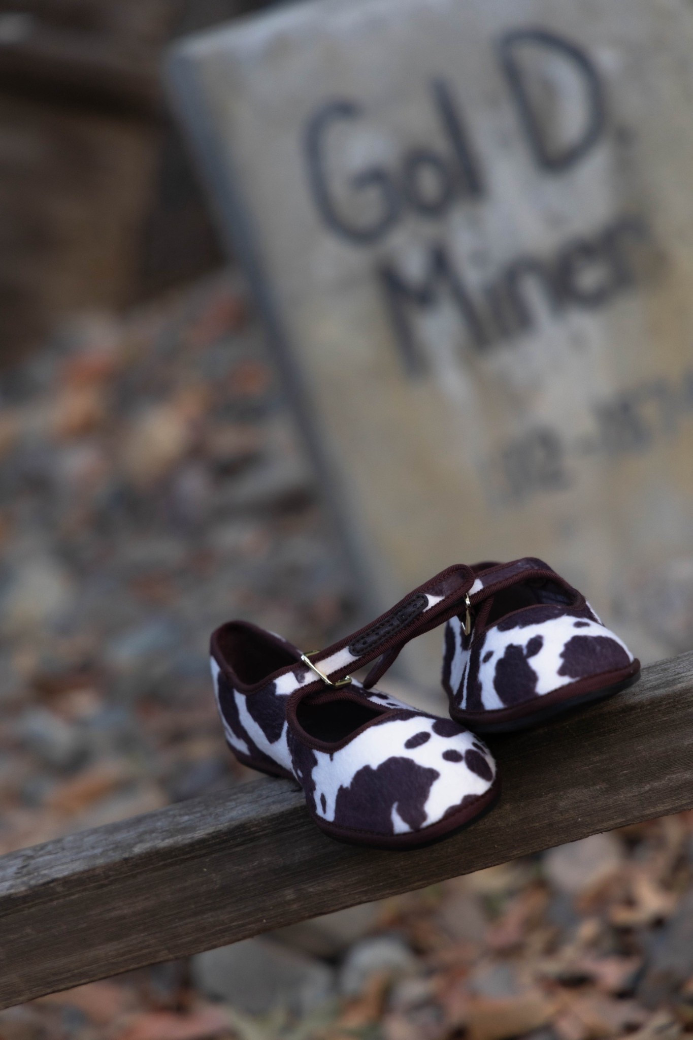 Target Mary Jane cow print shoes

#LTKGiftGuide #LTKShoeCrush #LTKSeasonal