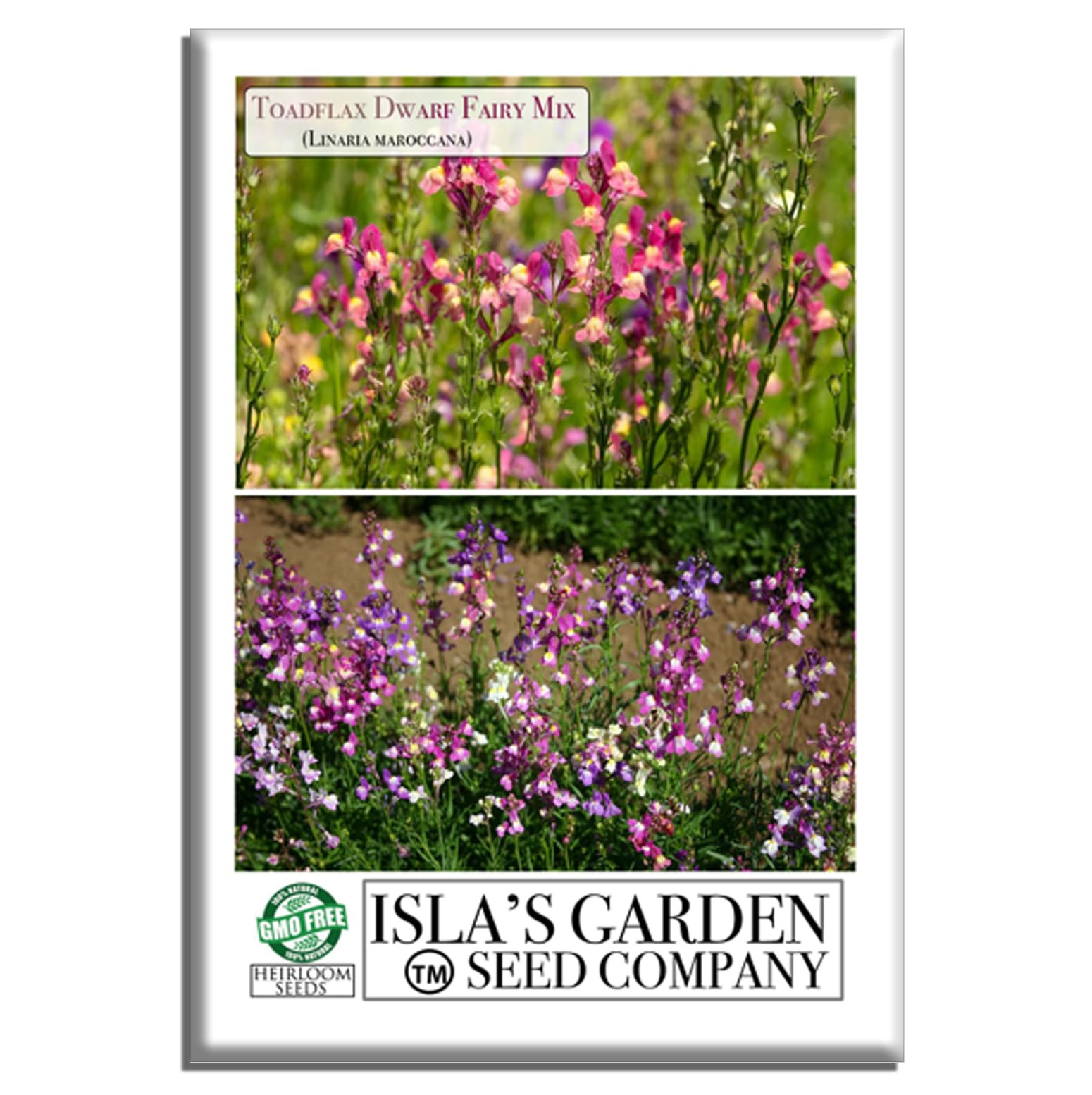 Toadflax Dwarf Fairy Bouquet Flower Seeds (Linaria maroccana) – 5000+ Non-GMO & Heirloom Seeds ... | Amazon (US)