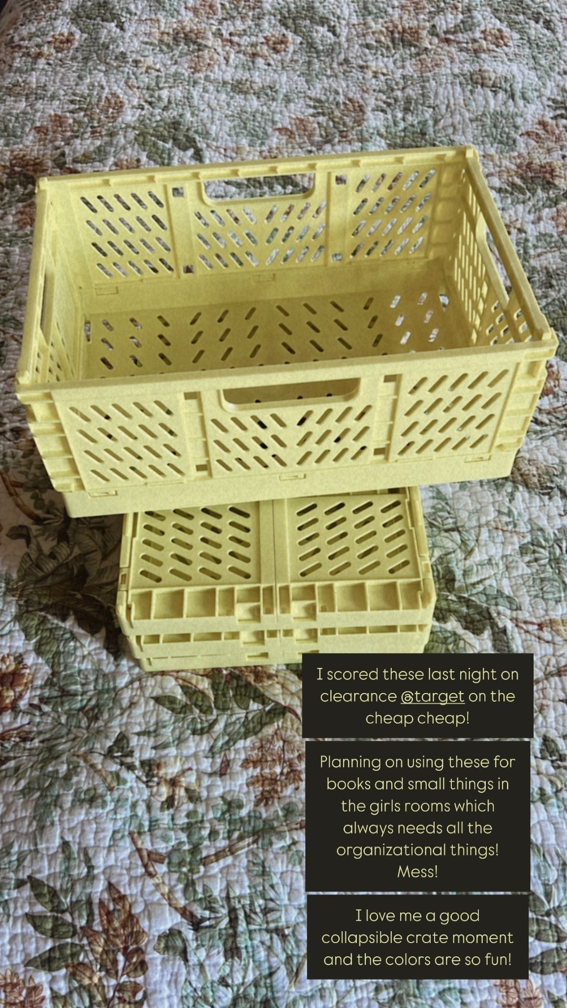 Target’s clearance section strikes again 🙃 Found these $10 collapsible crates for less in-store (because apparently I manifest discounts). Linked them on LTK anyway—online price still not bad tbh.

#LTKHome #LTKSaleAlert #LTKStyleTip