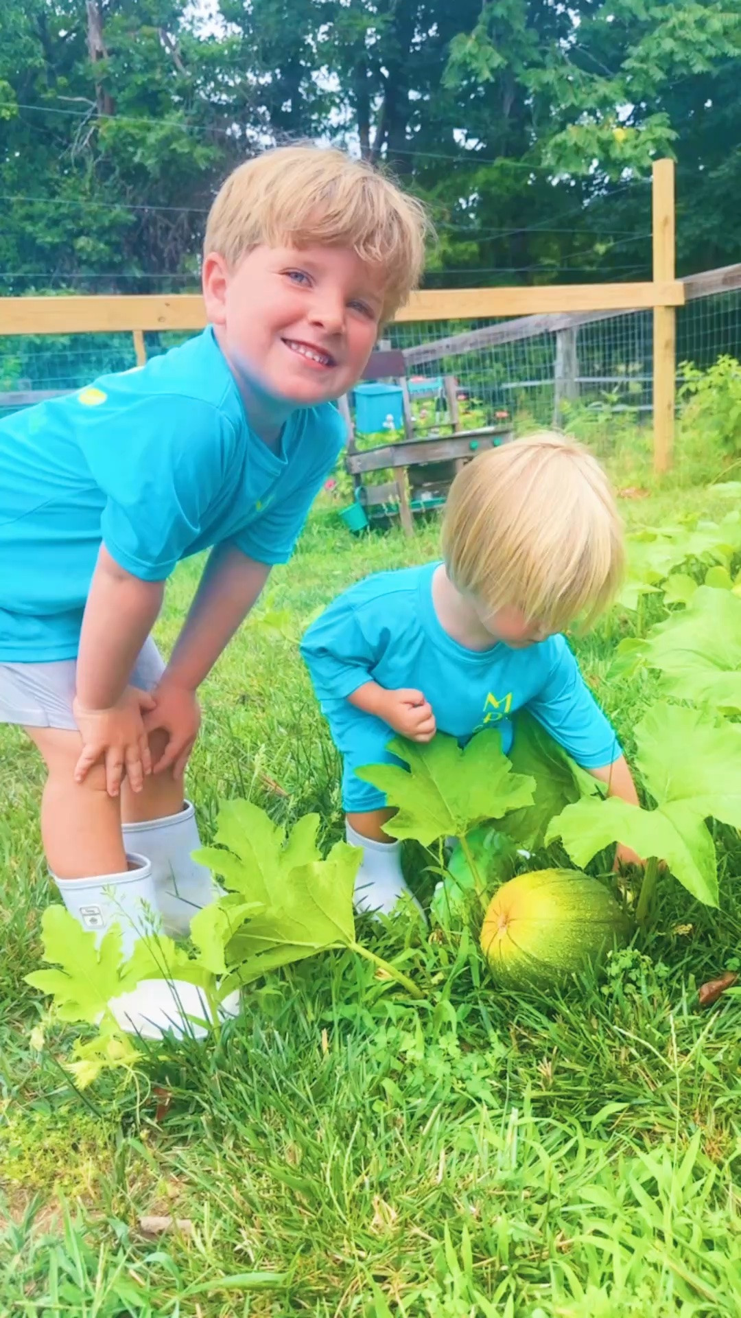 Anddddd we even have our very first pumpkin 🎃 growing, y’all!!! 🤭 We love summer 🌞 and are soaking it in around here 🤗 but eek our first fall 🍂🍁 here on the farm 🚜 sure is going to be special!!! Eek!! 😍✨