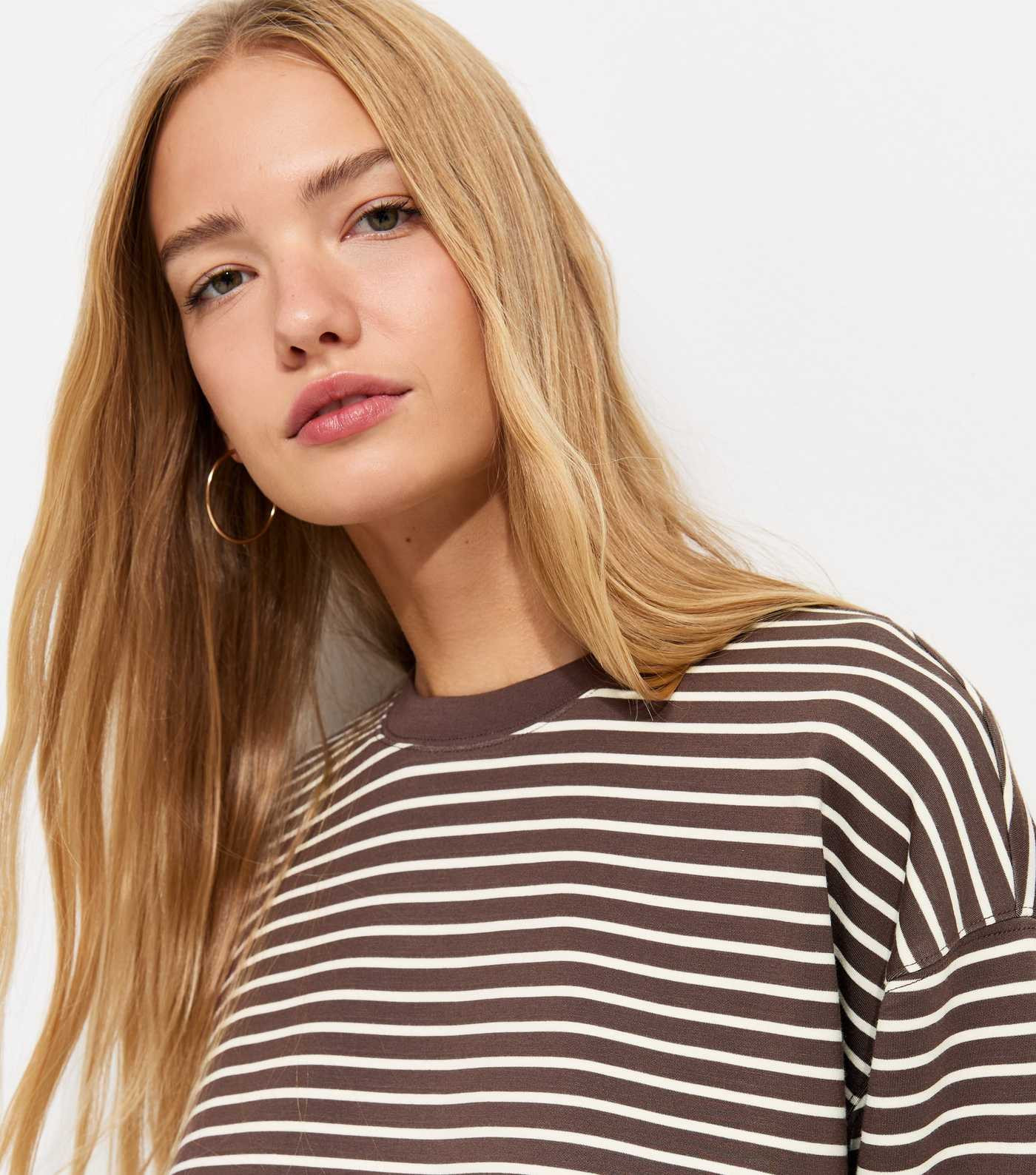 Premium Brown Striped Sweatshirt | New Look | New Look (UK)