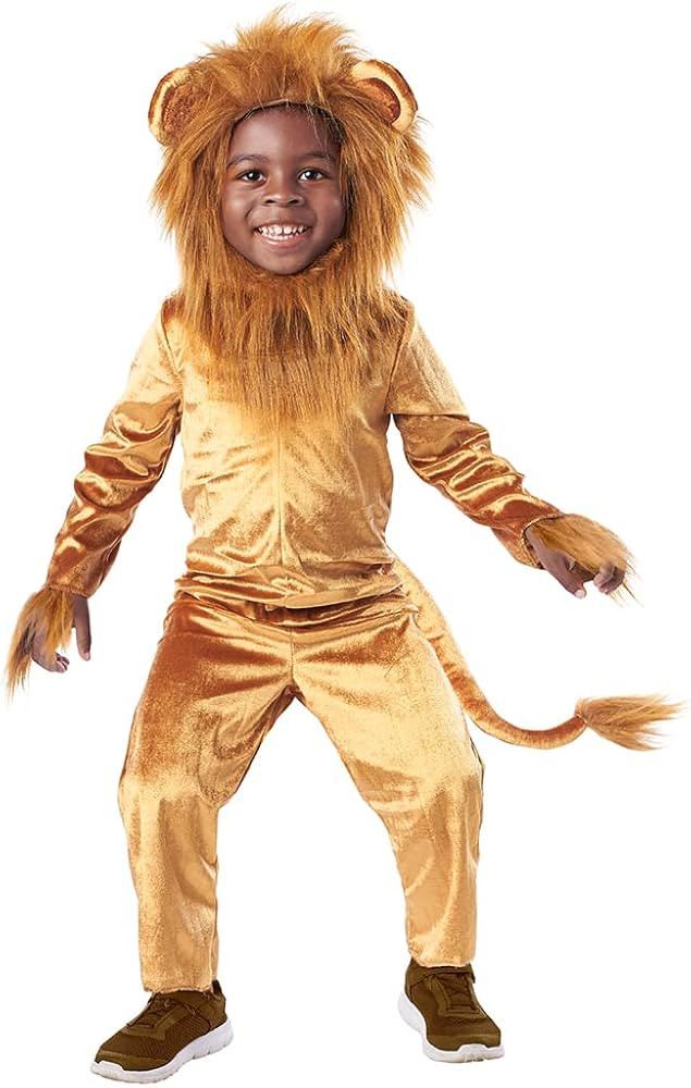 Seasons Cuddly Lion Halloween Costume Animal Costume Onesie for Kids (8-10) | Amazon (US)