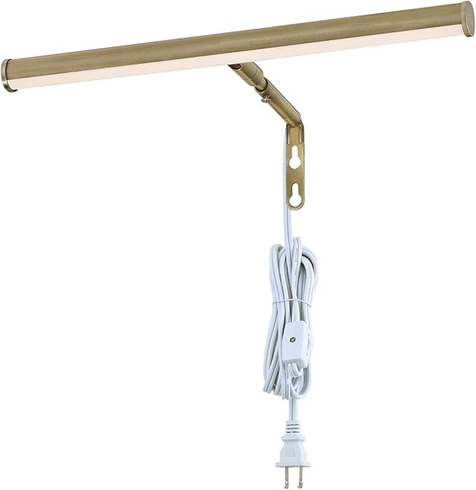 Westinghouse Lighting 7501000 14 Inch, 4 Watt Adjustable LED Picture Light, Antique Brass Finish,... | Amazon (US)