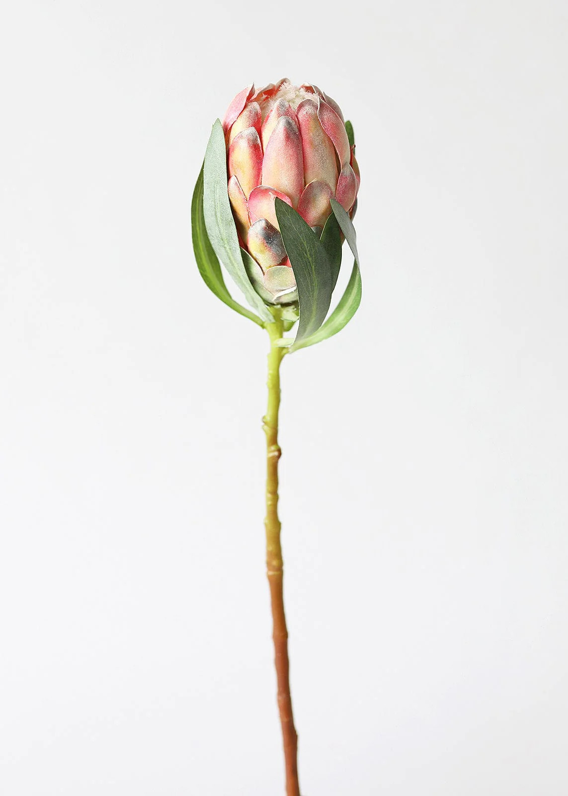 Faux Protea Flower in Coral Yellow - 18.5" | Afloral