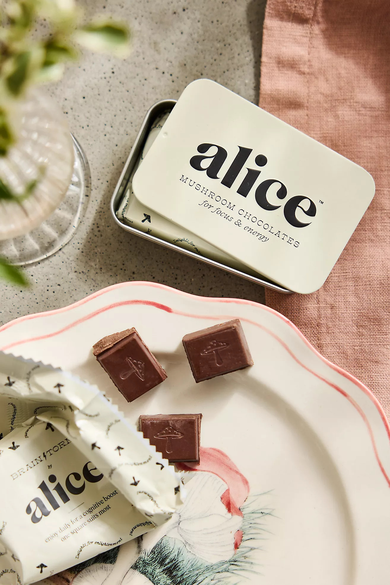 Alice Brainstorm Mushroom Chocolate | Anthropologie (US)
