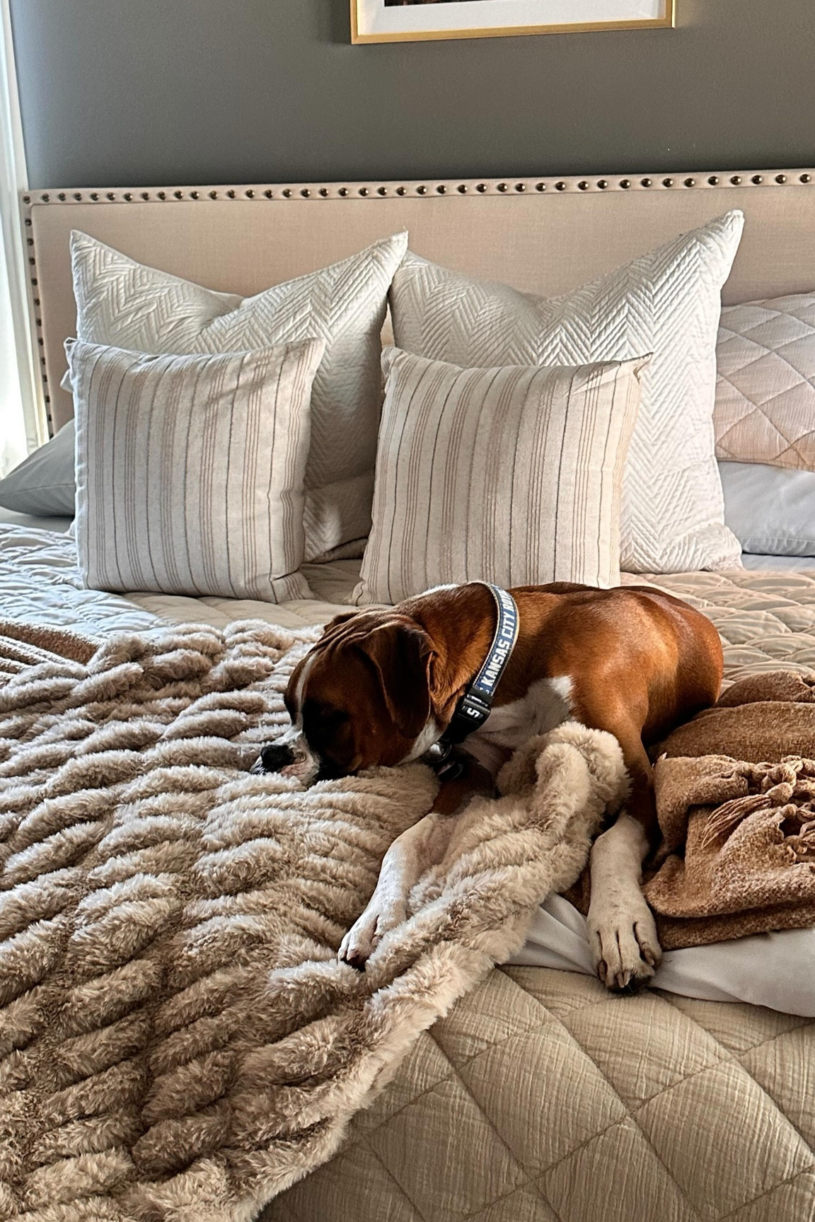 Comment SHOP for an additional 15% off this 4-piece hotel luxury sheets! ✨

I talked in Stories today about purchasing these 5 times since 2019. I LOVE these sheets. Buttery soft, wrinkle-resistant, pill-resistant, stain-resistant AND are moisture wicking and cooling so every sleeper is comfortable. 

With over 45 colors and patterns, you can match these with any style and bedding. And if you don’t love them, @mellanni_fine_linens offers a lifetime money-back guarantee. That’s how much they stand behind them! 🫶

Comment SHOP and I’ll send the code straight to your DMs or use code MELLANNI564 at checkout for an extra 15% off!! 🙌🏻

#sundayreset #bedding #mellanni #sponsored