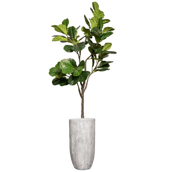Panama 88'' Faux Fiddle Leaf Fig Plant in Fiberstone Planter | Wayfair North America