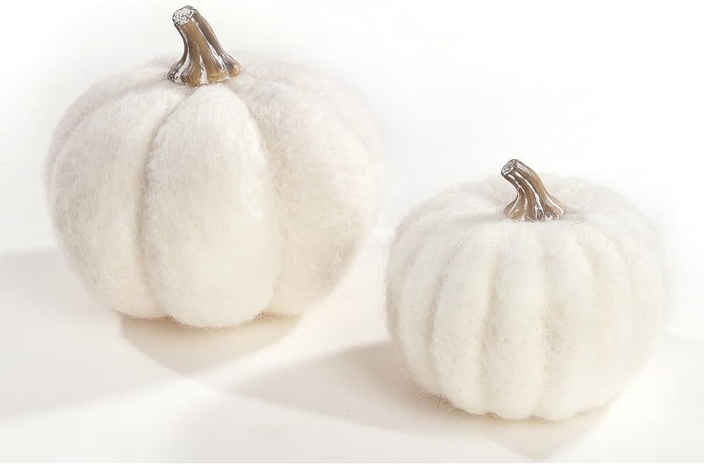 WDS WONDROUS White Pumpkin Decor 2pcs, Fabric Pumpkins for Decorating, Wool Pumpkins for Fall, Th... | Amazon (US)