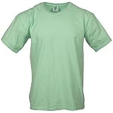 Comfort Colors mens Adult Short Sleeve Tee, Style 1717 T Shirt, Berry (2 Pack), Large US | Amazon... | Amazon (US)