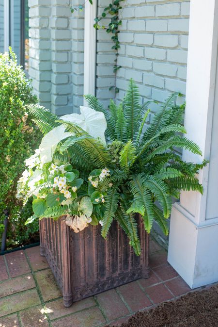 A faux plant and beautiful planter is a great way to dress up any outdoor space! 

#LTKFind #LTKSeasonal #LTKhome