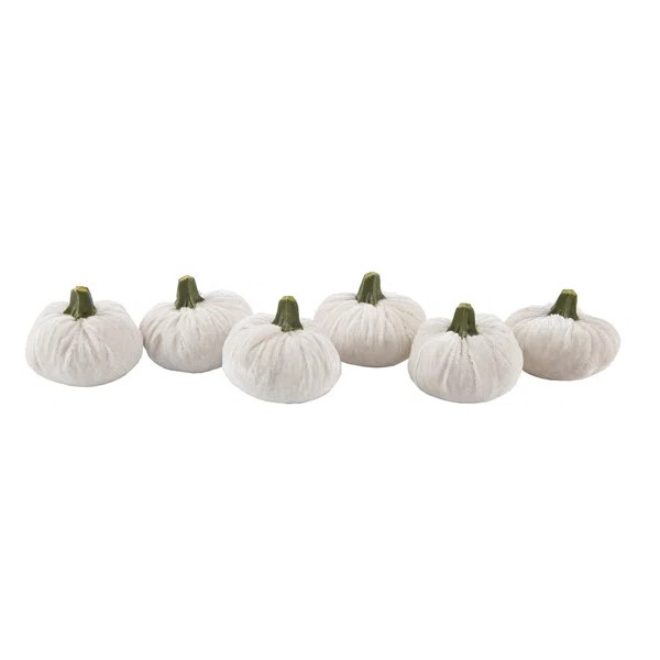 Boxed Velvet Pumpkin Decorative Accent (Set of 6) | Wayfair North America