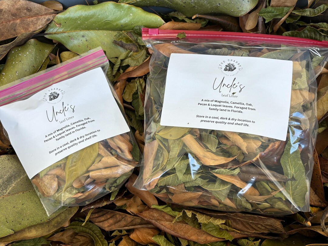 Uncle’s Leaf Litter for Hermit Crabs & Isopods - Natural Florida Blend - Etsy | Etsy (US)