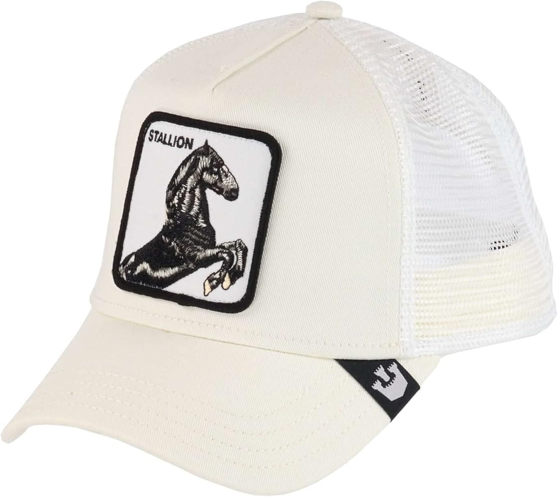 Goorin Brothers The Stallion | Amazon (US)