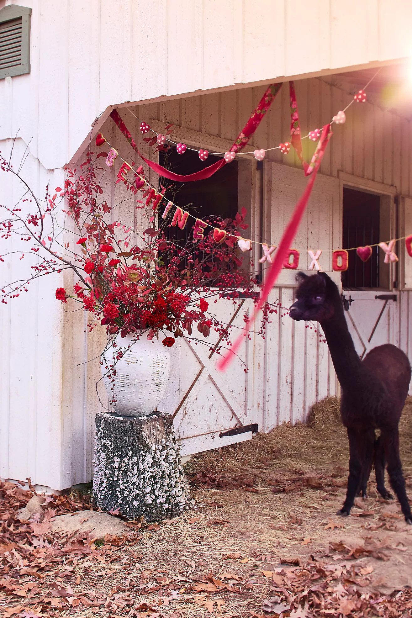 XOXO Velvet Garland | Terrain