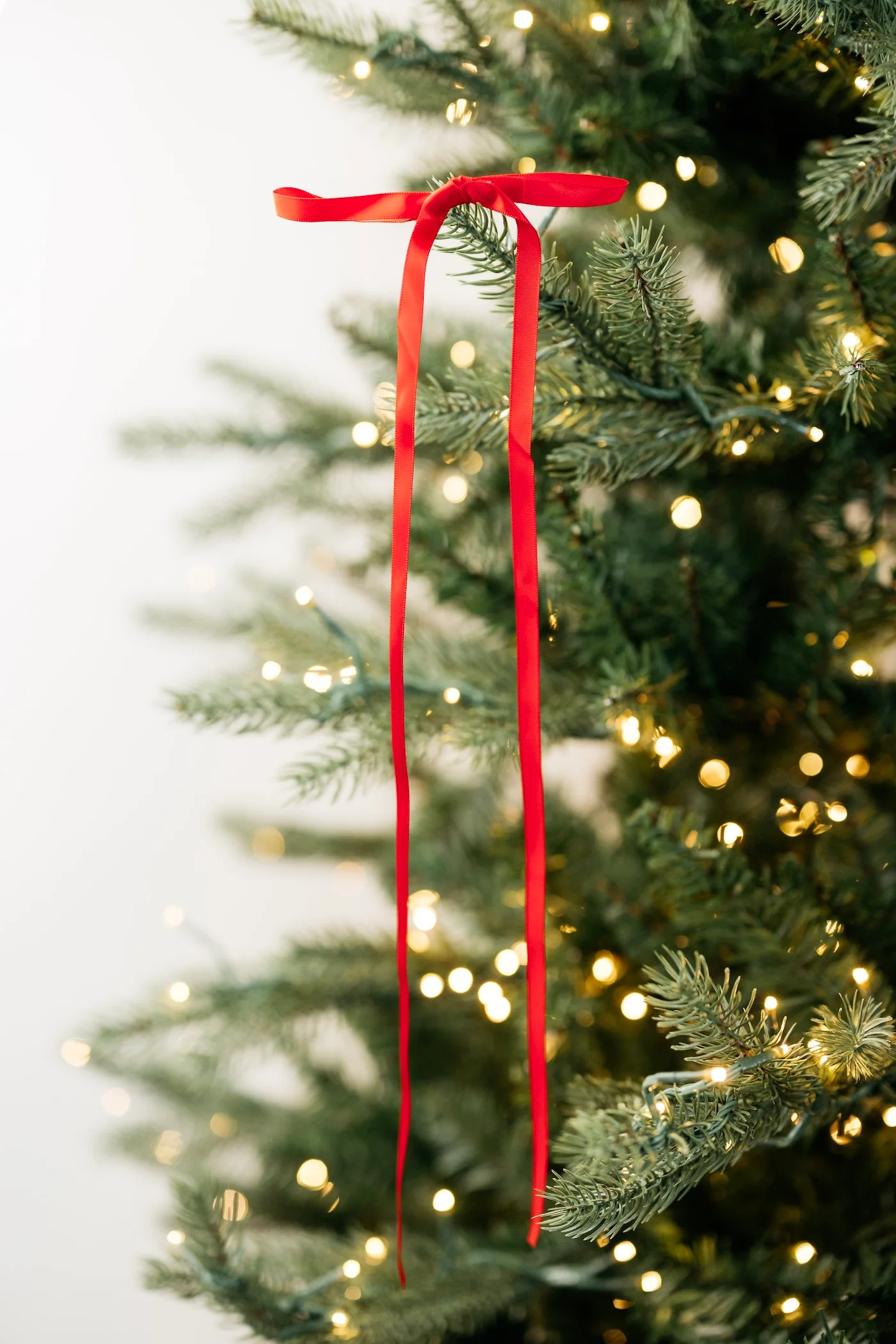 Whimsy Bow - Red - Set of 3 | THELIFESTYLEDCO