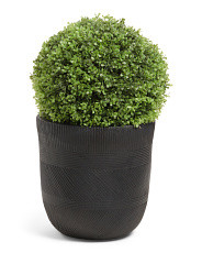 21in Outdoor Safe Boxwood In Planter | Home Essentials | Marshalls | Marshalls