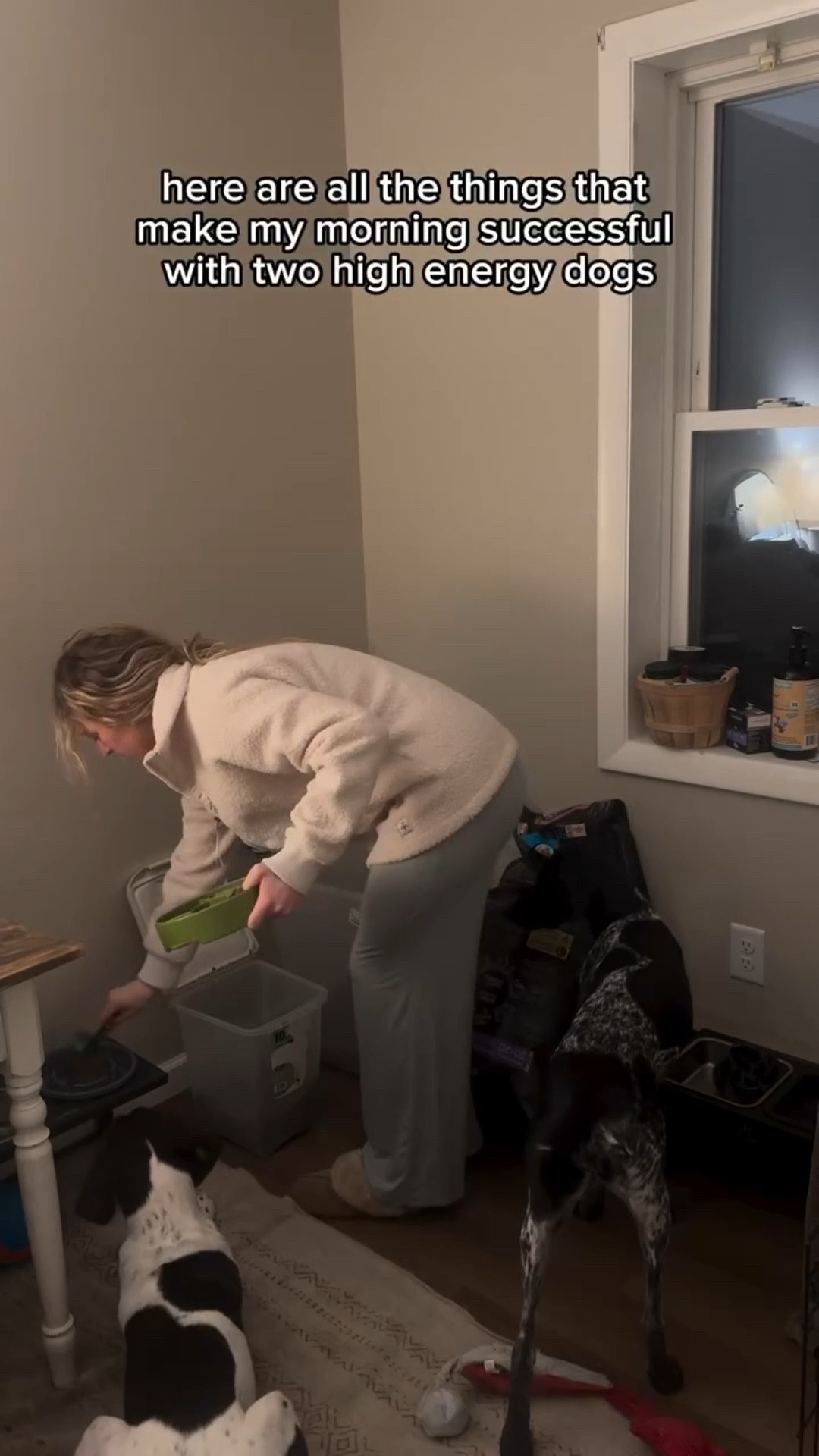 I would be so lost without all of these products!!

All of my MUST HAVE products are linked in my Amazon storefront!!! (In my bio) 

@garmin @westpawus @openfarmpet @halocollar @spotandtango 

#dogmom #morningroutine

#LTKActive #LTKgrwm #LTKmorningroutine