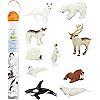 Safari Ltd Arctic TOOB With 10 Fun Figurines, Including A Harp Seal, Husky, Caribou, Arctic Rabbi... | Amazon (US)