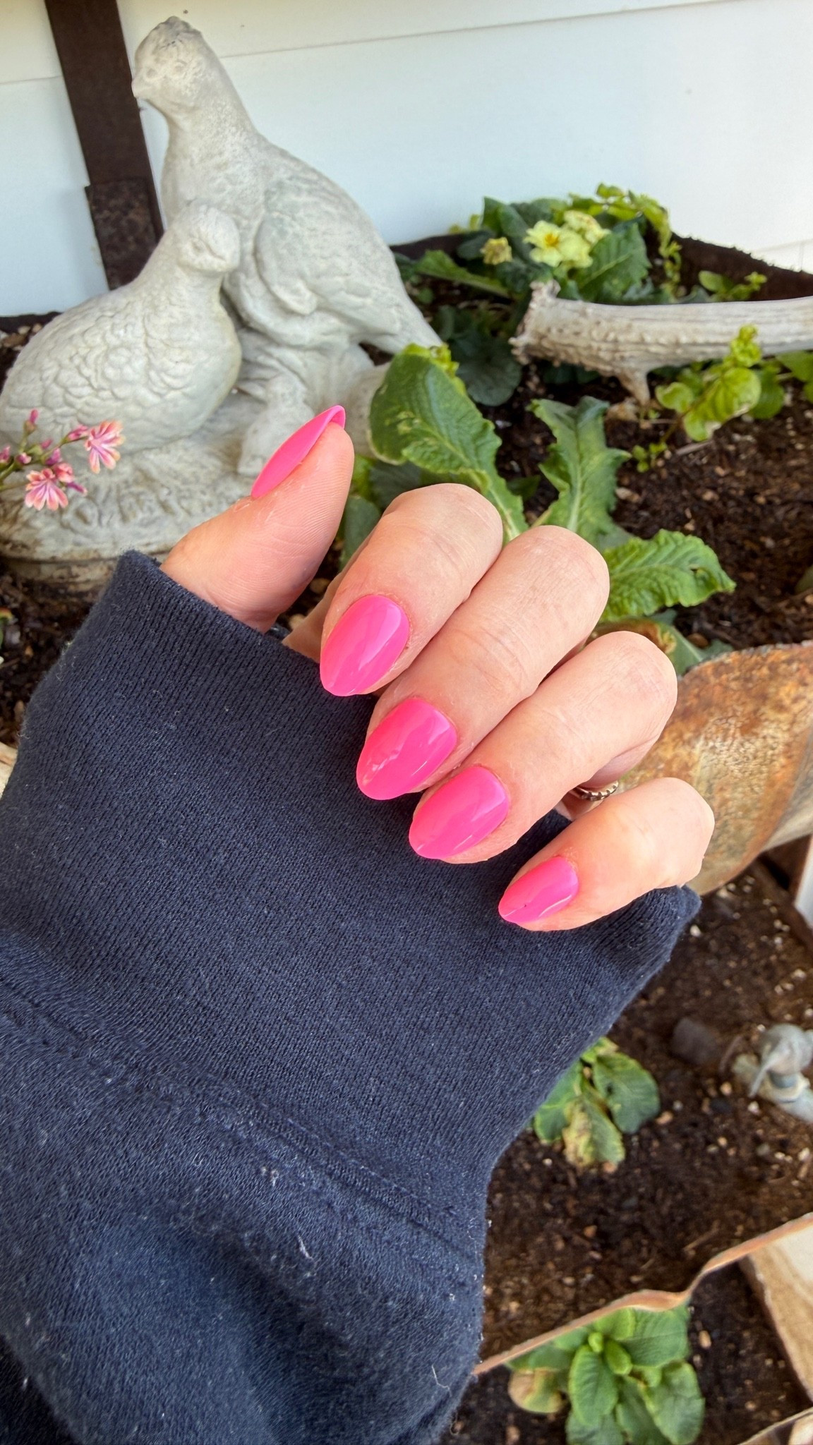 Officially the nails of the summer! (And way cheaper than going to the salon yall!)

#LTKBeauty #LTKootd #LTKgrwm