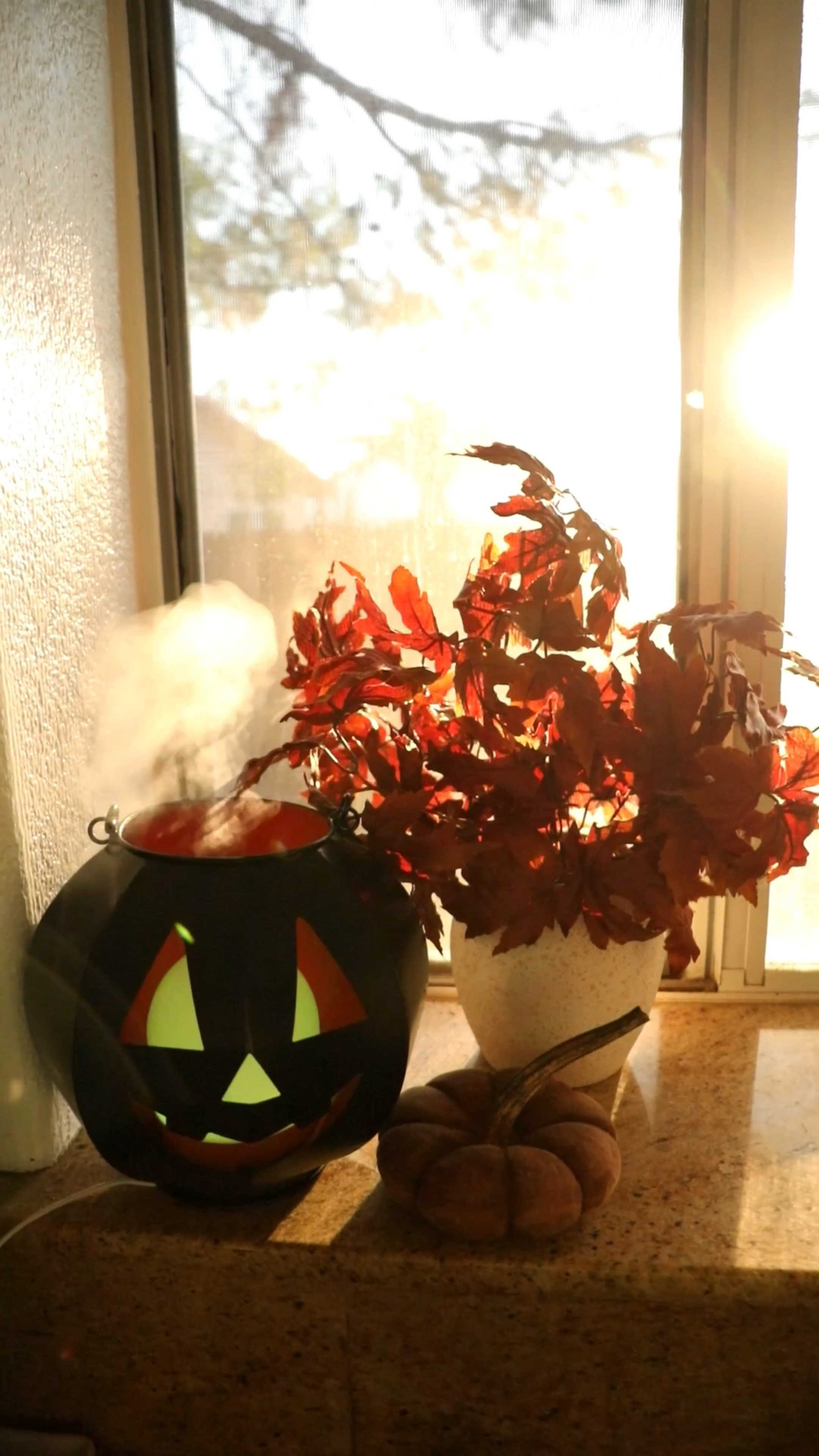 🚨🍁 EASY FALL DECOR HACK 🍁🚨 #falldecor #halloweendecor #ltkhome #homedecor #ltkvideo

#LTKSeasonal #LTKhome #LTKVideo
